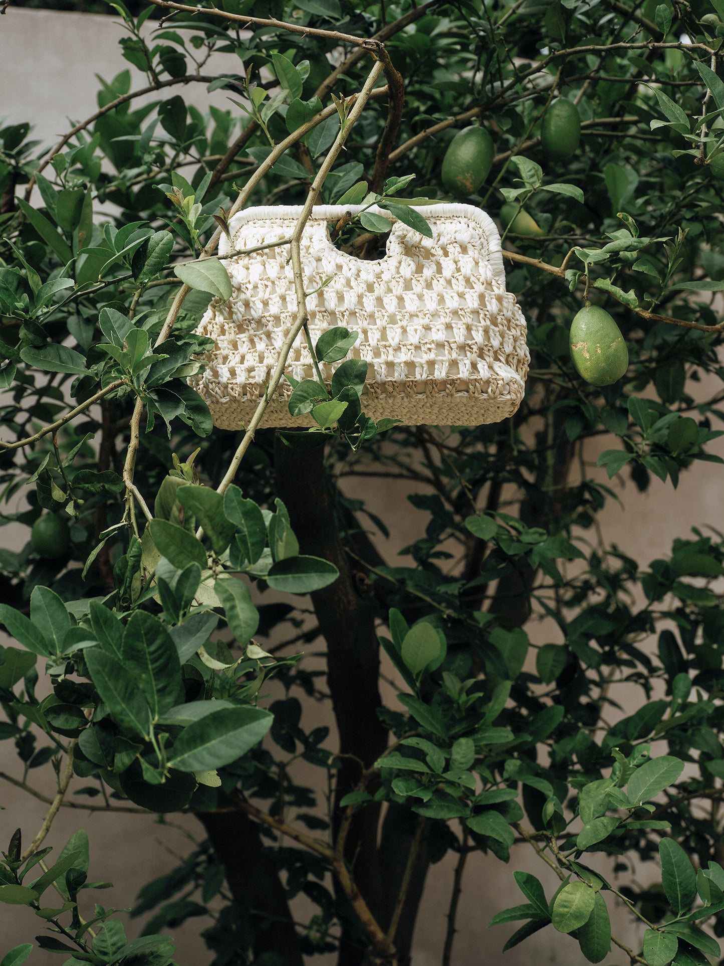 Cloud-shaped Straw Clutch Bag