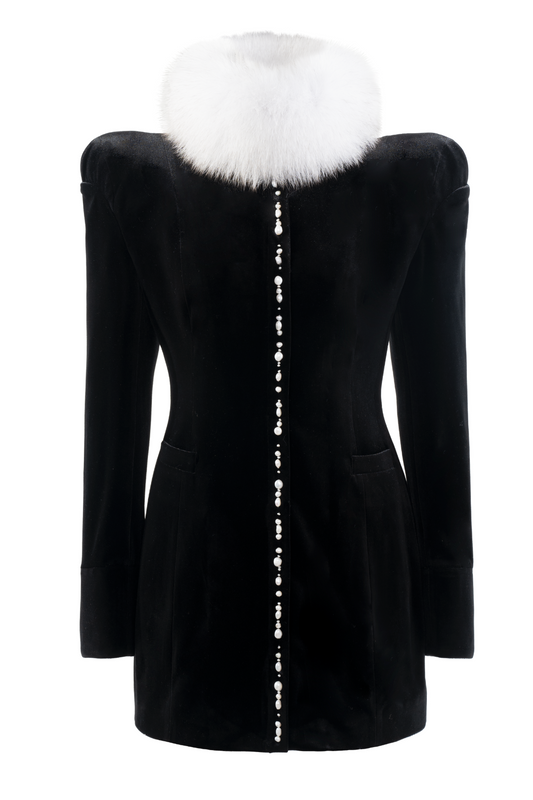 Velvet Dress with Fox Fur Collar