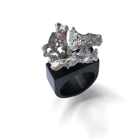 Endless Life Ebony Ring Silver